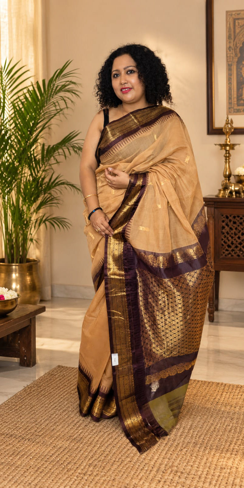 Chocolate and biscuit cotton gadwal